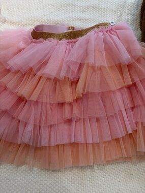 Pink Layered Tulle Skirt with Gold Elastic Waist